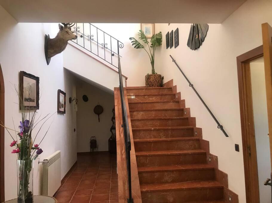 Villa Miramar Сант-Льоренс-дес-Кардассар Экстерьер фото
